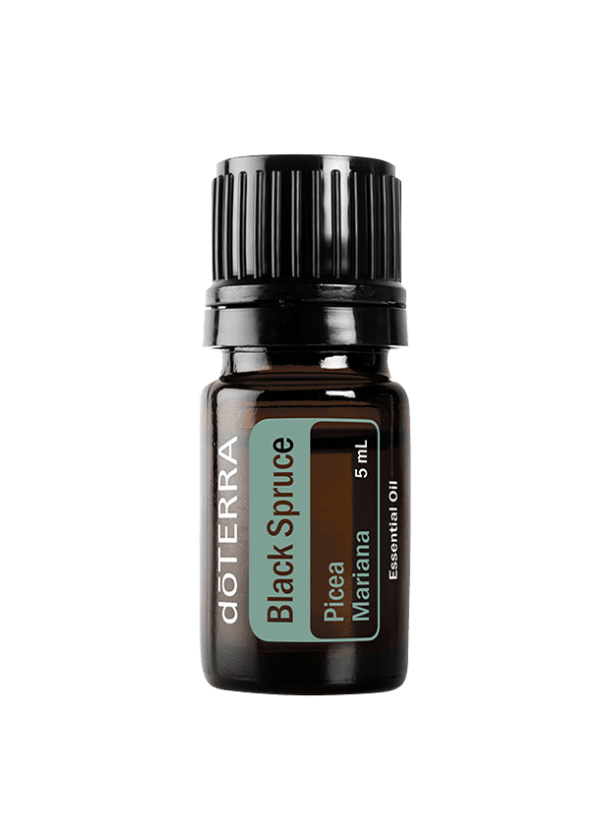 Ulei esential doTERRA Black Spruce (Molid Negru)  5ml